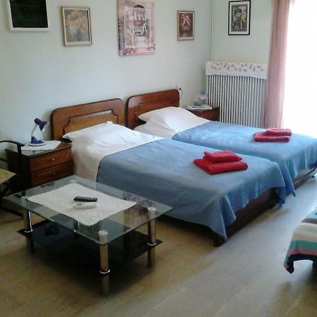 Vasiliki'S Apartment Kalampáka Dış mekan fotoğraf
